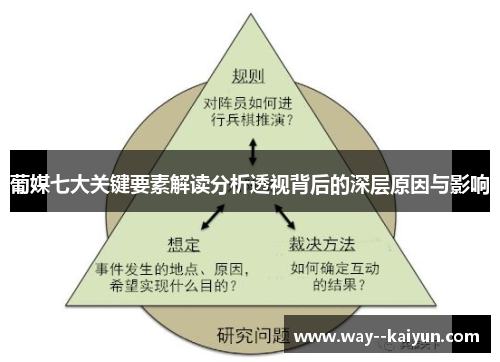 葡媒七大关键要素解读分析透视背后的深层原因与影响