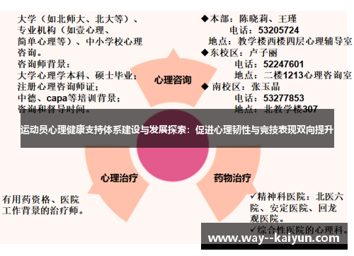 运动员心理健康支持体系建设与发展探索：促进心理韧性与竞技表现双向提升